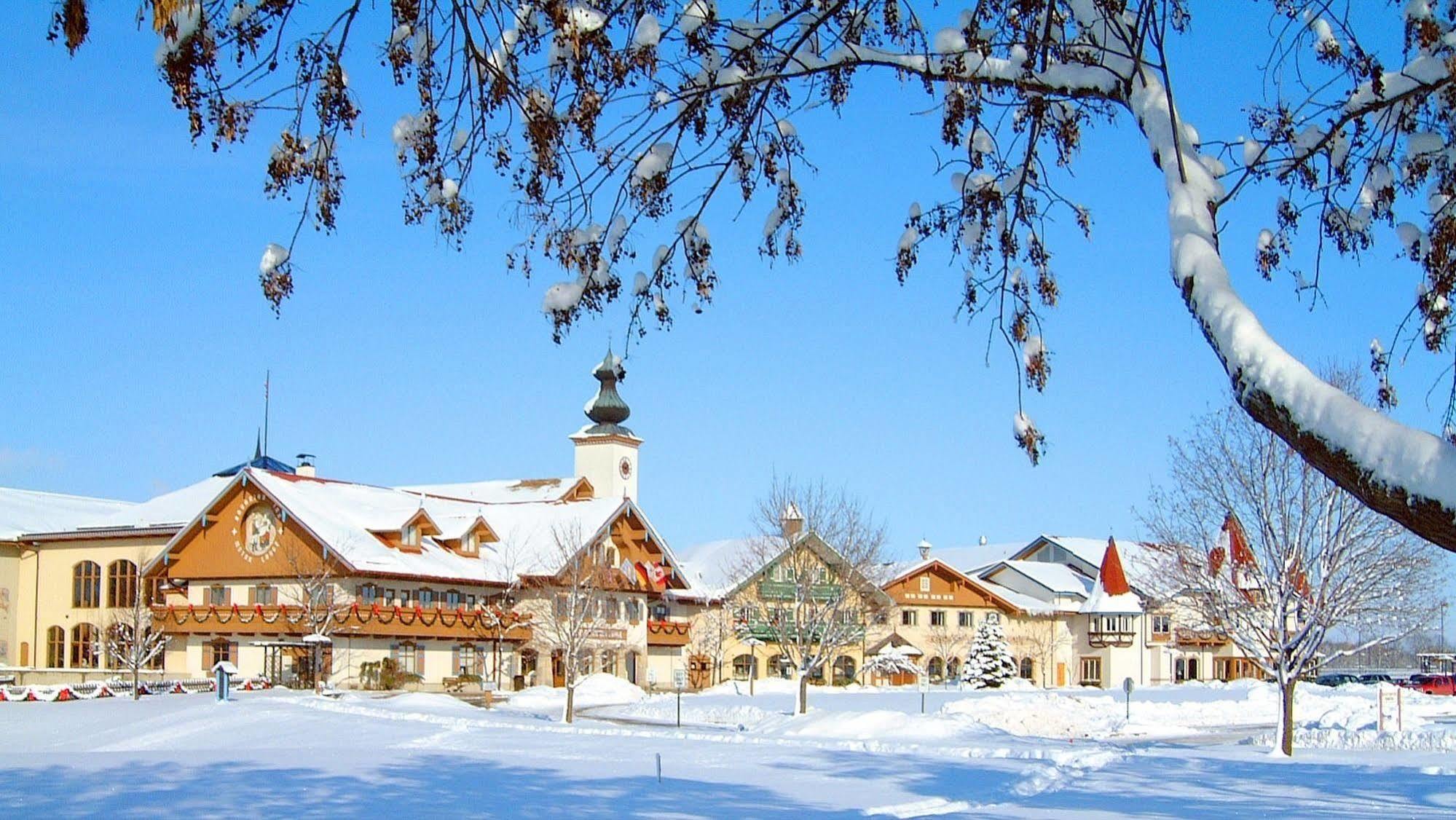 Bavarian Of